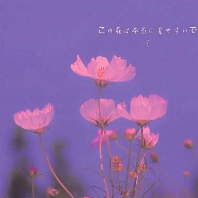蓝色西游手游(暂未上线)v1.0 安卓版
